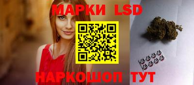 крисы Чебаркуль